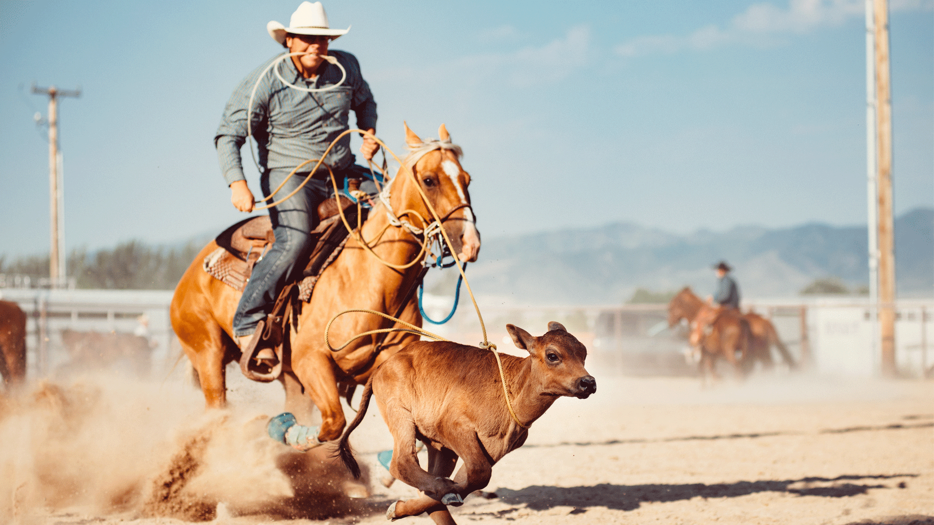 Obvious risk in recreation and sport insurance