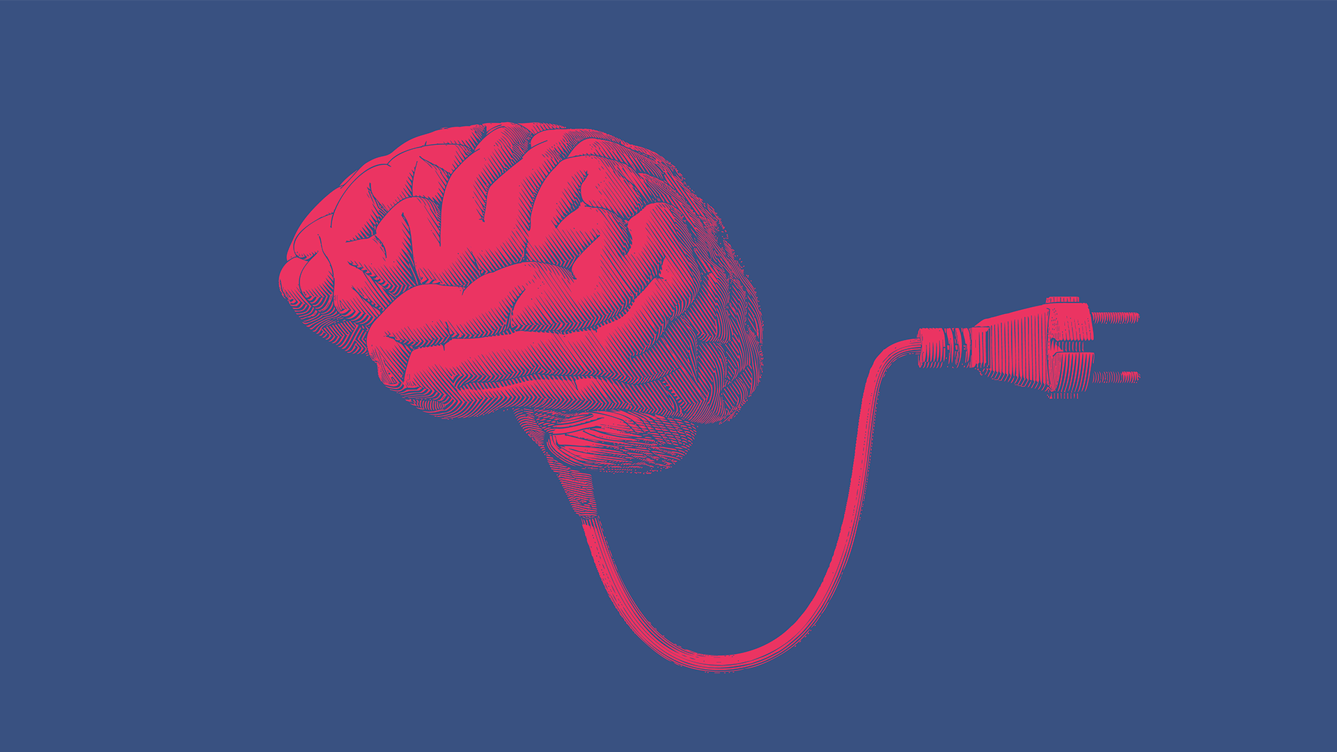 What’s your learning style? And does it matter?