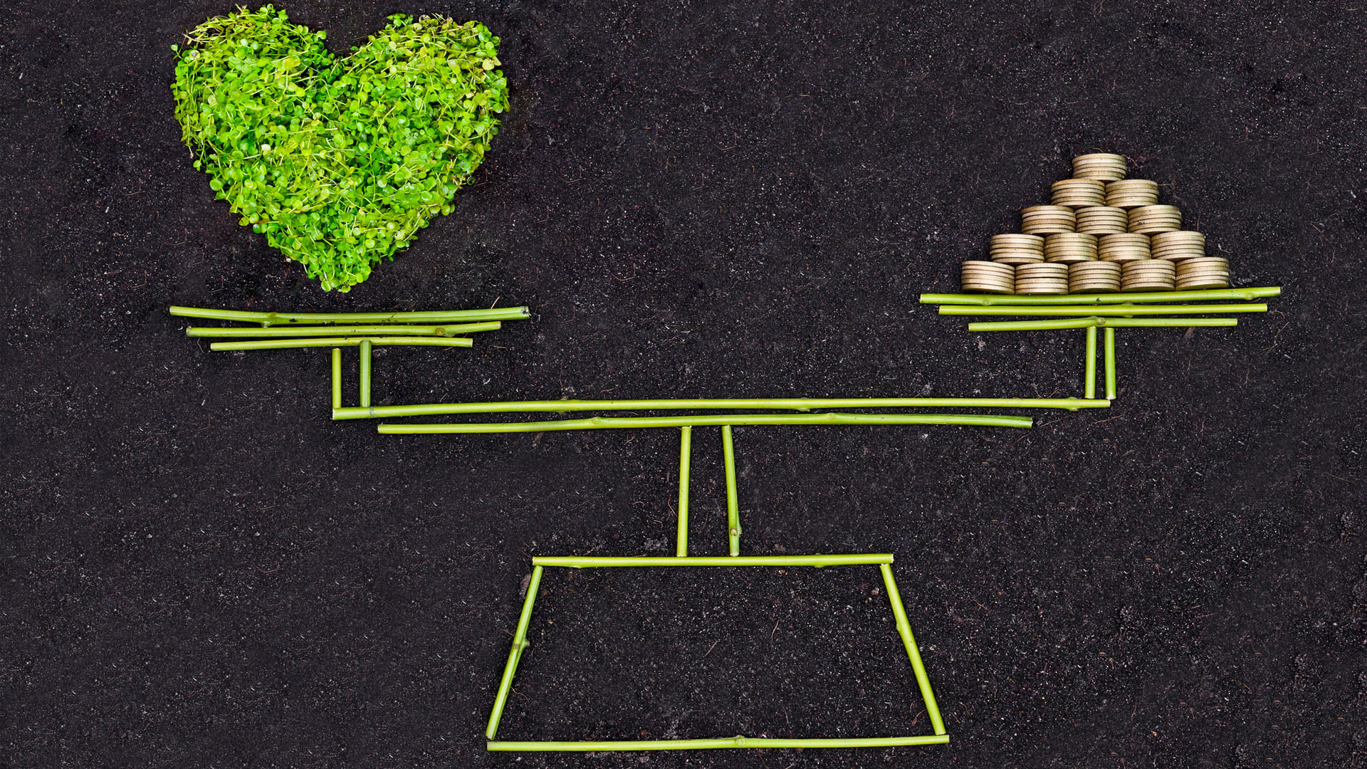 IBCCC annual data report 2023-2024