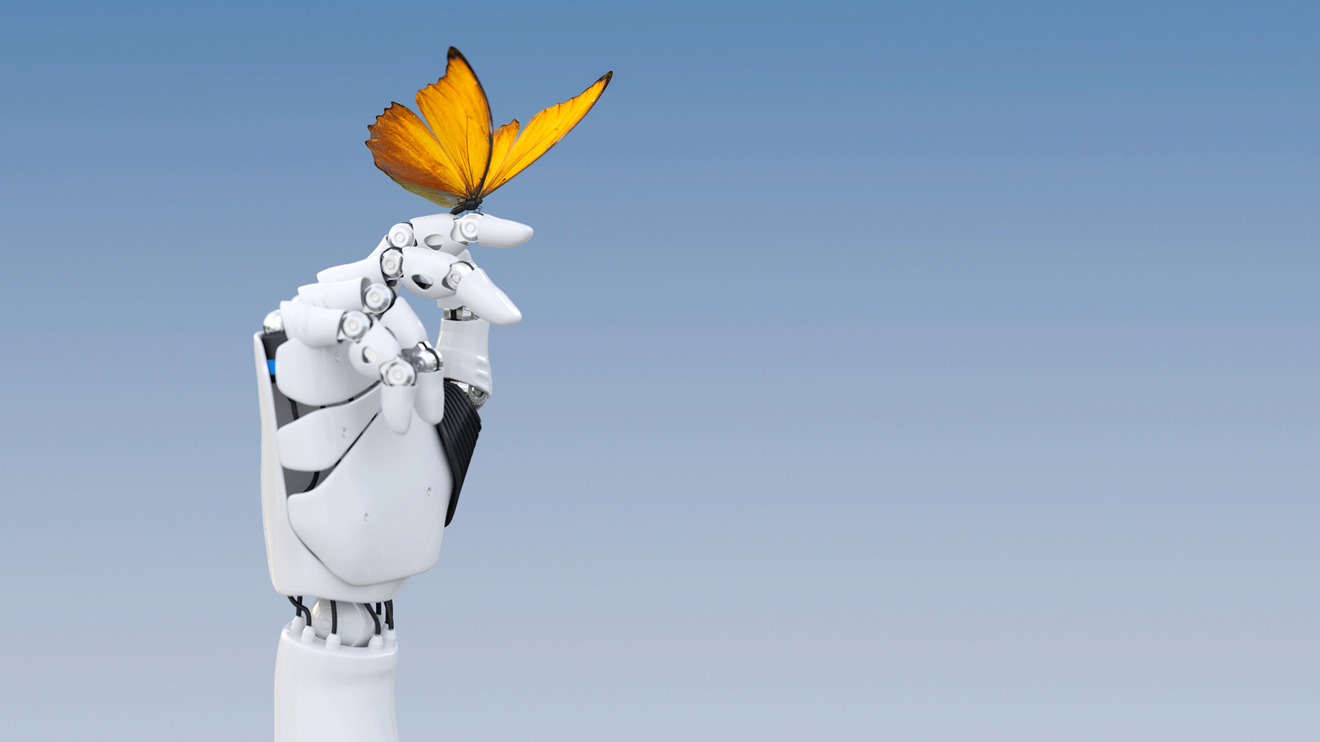 Insurance skills must evolve to avoid significant gaps