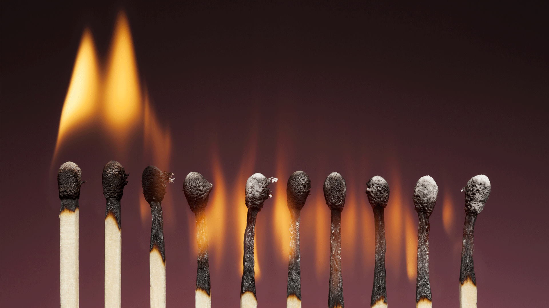 ANZIIF Ask an Expert managing burnout in the insurance industry