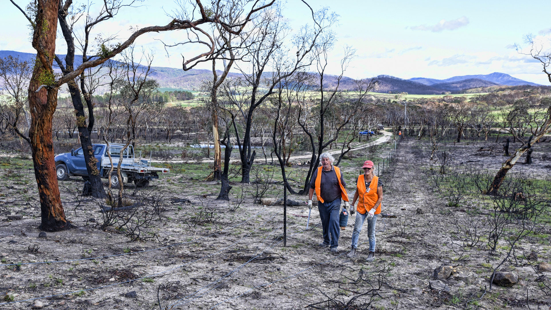 An elderly couple wearing orange hazard clothes assess bushfire damage on burned out land
