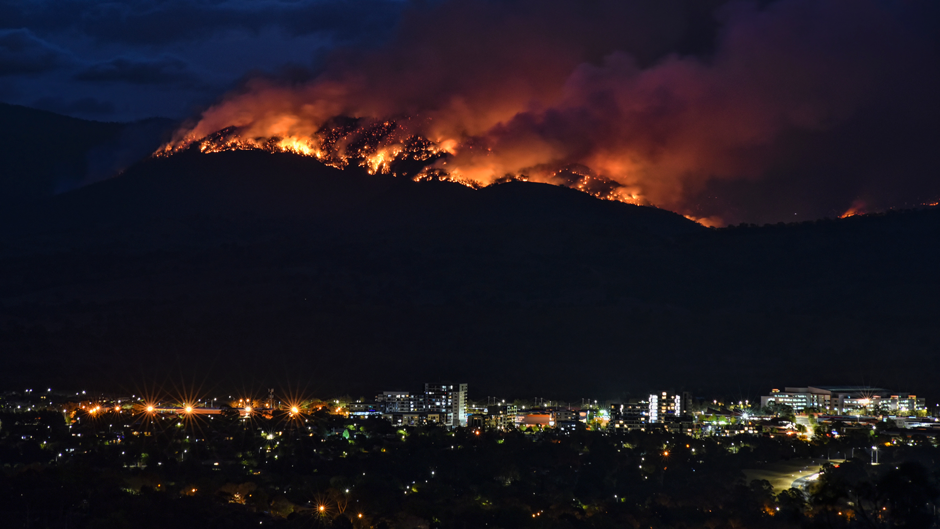 ANZIIF Journal - Counting the Cost