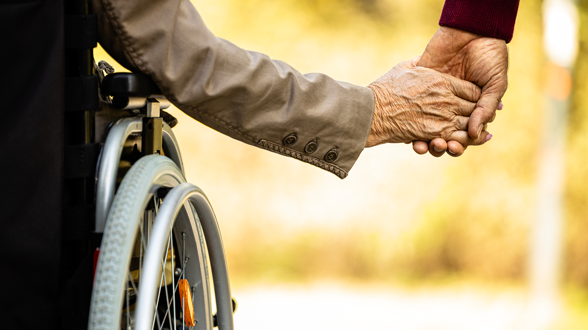 World Property and Casual Insurance Report